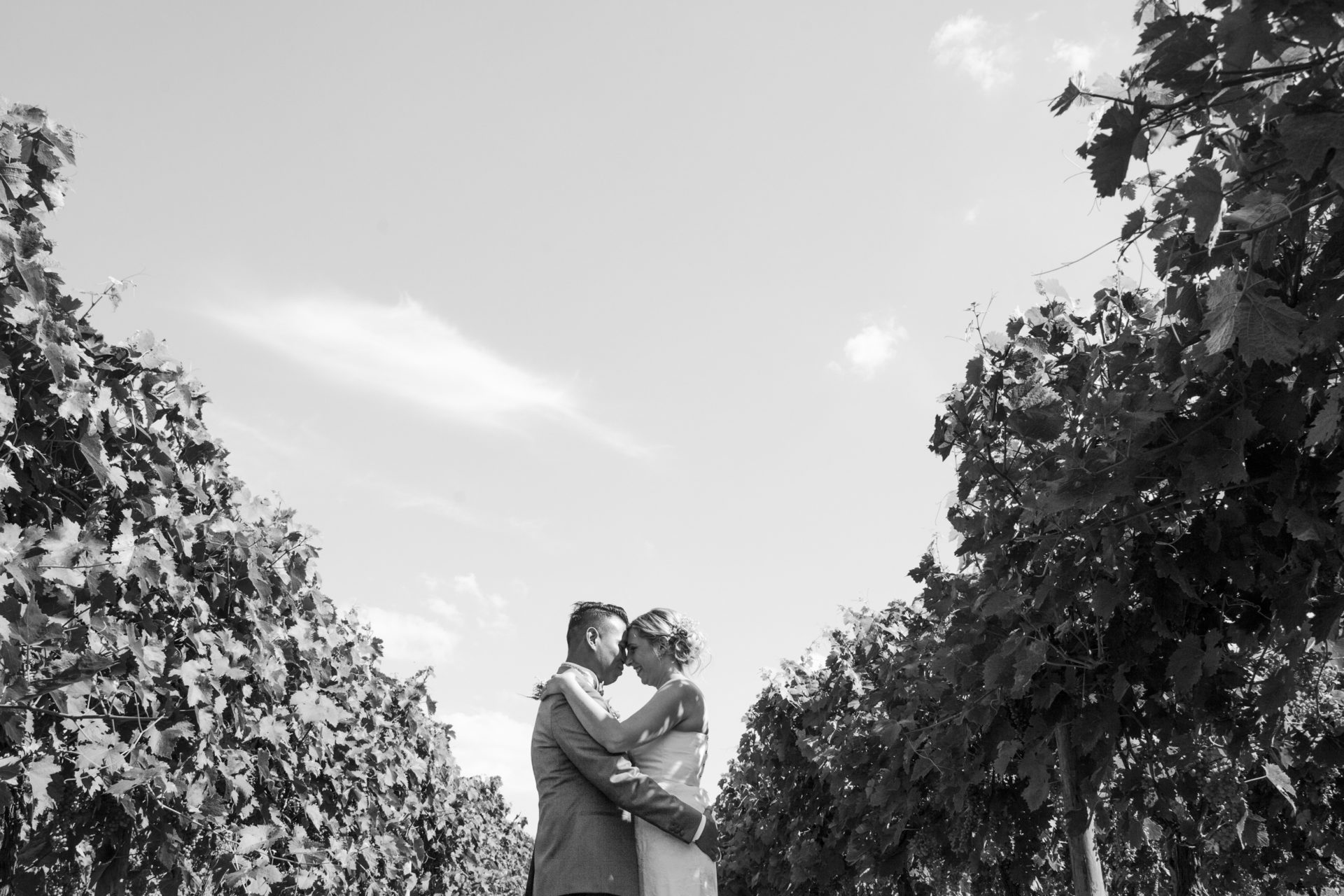 stephanie laisney photographe mariage couple vigne domaine du fresne angouleme charente