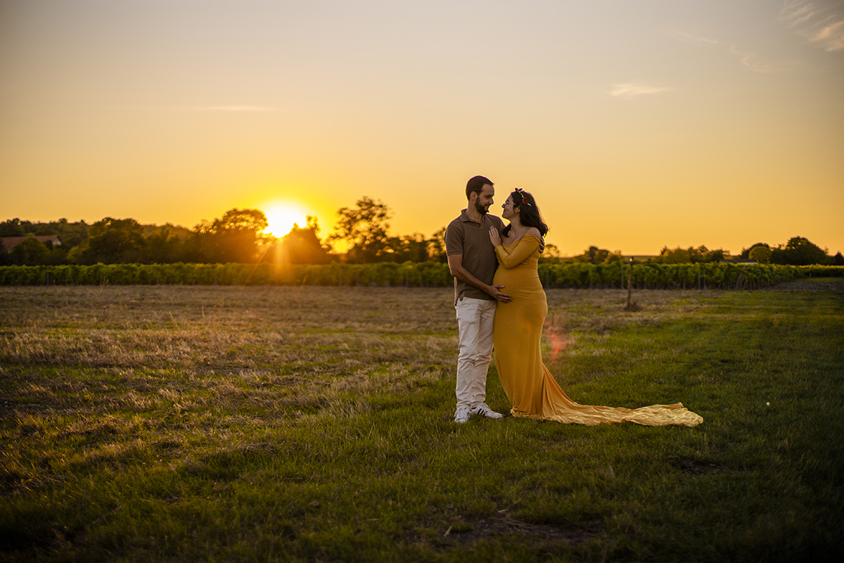 stephanie laisney photographe grossesse golden hour vigne couché de soleil Cognac Charente